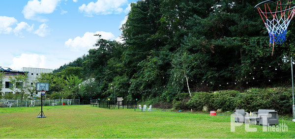 라이프위드도그 스카이도그파크. ⓒ펫헬스