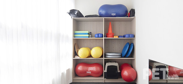 소노펫클럽앤리조트 펫스쿨. 사진 선마을