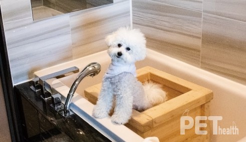 강릉 세인트존스호텔 히노끼탕. 사진 선마을