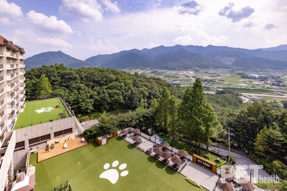켄싱턴리조트 충주 펫전용파크. 사진 선마을