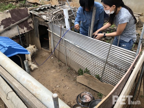 지난 5월 어웨어 회원들이 마당개 중성화 지원사업 현장을 찾아 봉사활동을 하며 애로사항을 점검했다. 사진 어웨어