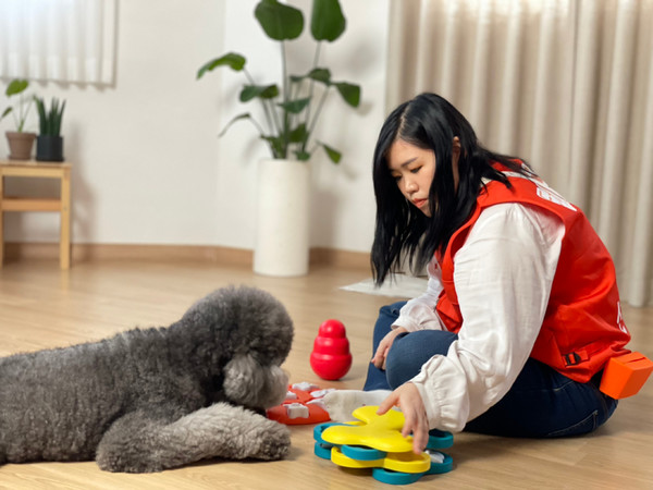 반려동물 돌봄 모습. 사진은 기사 내용과 관련없음. ⓒ펫헬스