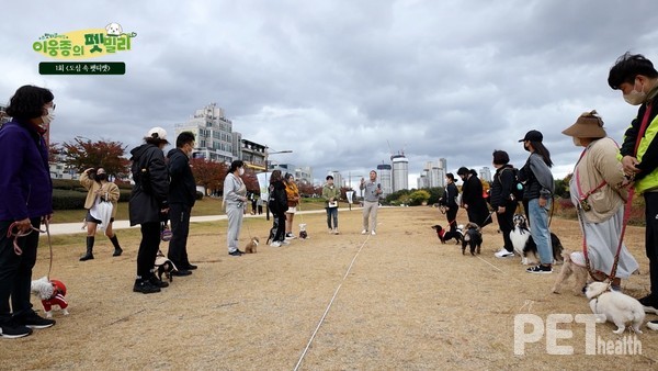 ⓒ펫헬스