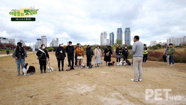 ⓒ펫헬스