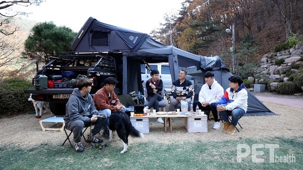 ⓒ펫헬스