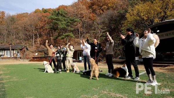 ⓒ펫헬스