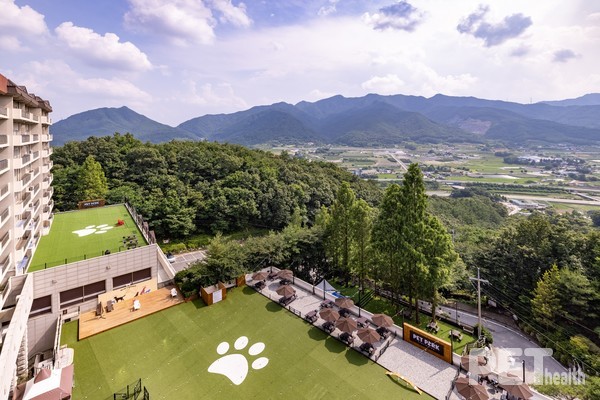 켄싱턴리조트 충주 펫 파크. ⓒ펫헬스