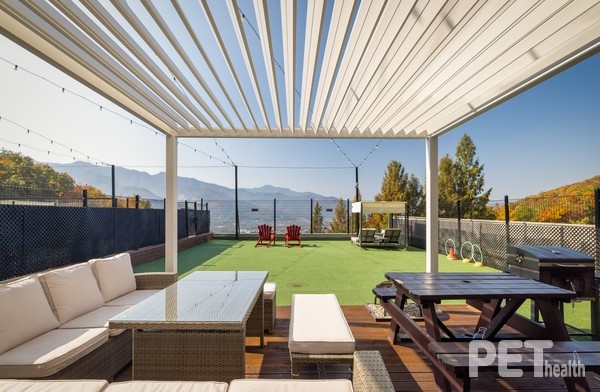 프라이빗 로열 스위트 펫 객실. ⓒ펫헬스