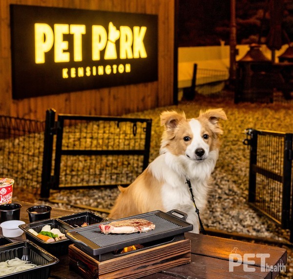 켄싱턴리조트 충주 펫 바비큐. ⓒ펫헬스