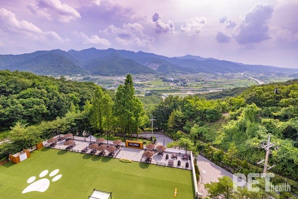 켄싱턴리조트 충주 펫. ⓒ펫헬스