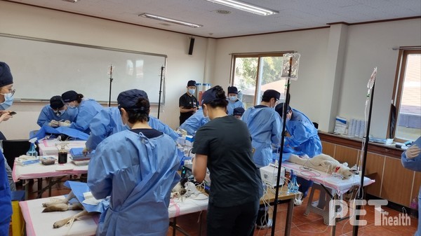 사진 국경없는수의사회