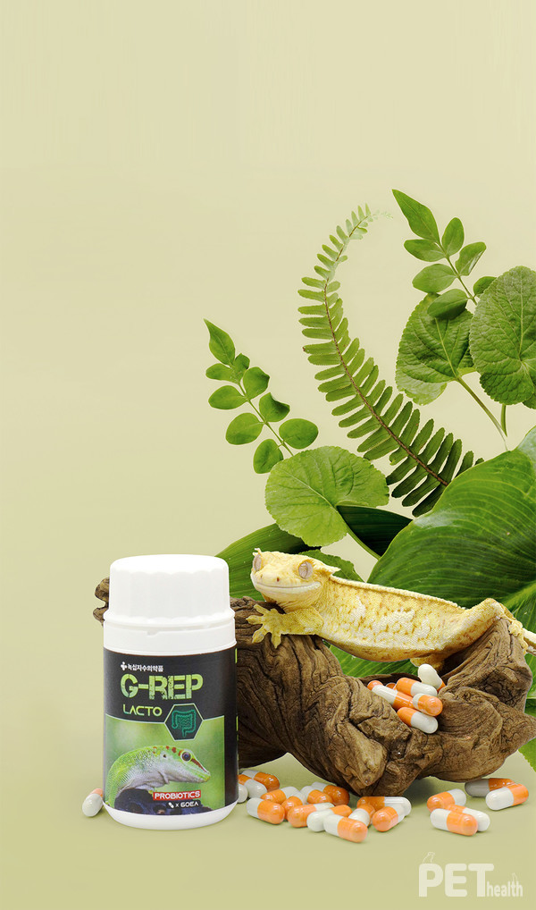 파충류 전문 보조제 ‘지렙 락토’. 사진 녹십자수의약품