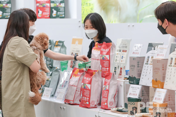 사진 마이팀페어스