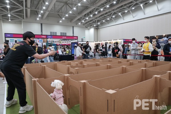 사진 마이팀페어스