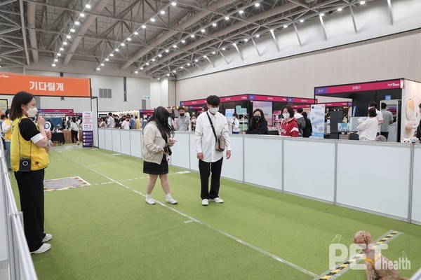 사진 마이팀페어스