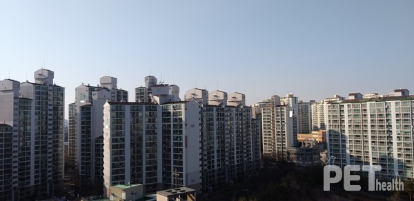 경기도의 한 아파트 단지 모습. 이해를 돕기 위한 사진. 기사내용과 무관함. ⓒ펫헬스