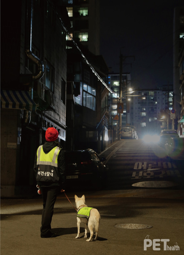 서울 반려견 순찰대 활동 모습. 사진 서울시