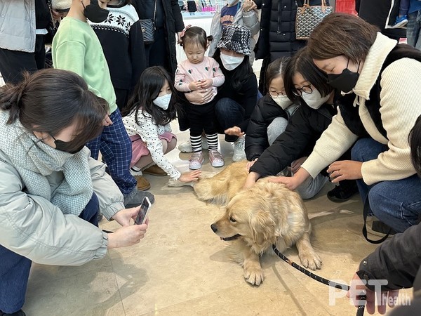 동물 매개 활동 치료견 ‘청’이가 한 쇼핑센터에 외부테스트를 받고 있다. 사진 경기도
