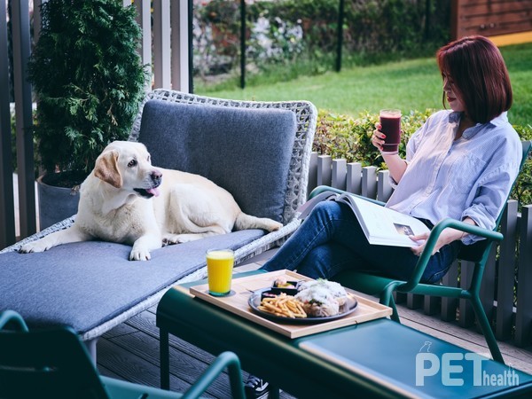 반려동물 동반 카페&레스토랑 '띵킹독' 소노펫 비발디파크. 사진 소노인터내셔널