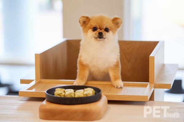 반려동물 동반 카페&레스토랑 '띵킹독' 소노펫 고양. 사진 소노인터내셔널