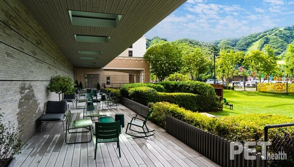 반려동물 동반 카페&레스토랑 '띵킹독' 소노펫 비발디파크. 사진 소노인터내셔널