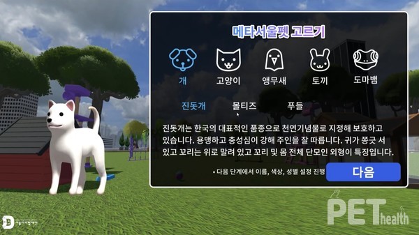 메타서울펫 입양 동물 고르는 화면. 자료 서울시