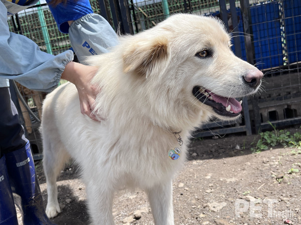 사진 비엠스마일