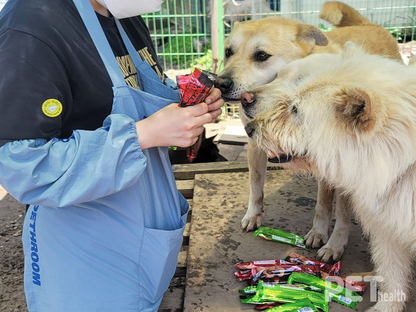 사진 비엠스마일