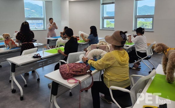 반려동물 기초미용(순천 반려동물 문화센터). 사진 전남도