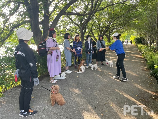 반려동물 산책교실(순천 반려동물 문화센터). 사진 전남도