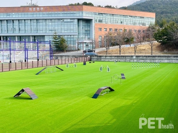 신라대 반려동물학과 어질리티 및 행동교정 교육장. 사진 신라대학교