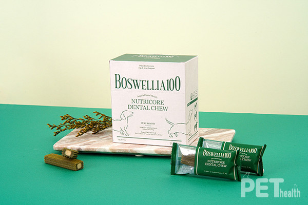 닥터 뉴트리코어 ‘보스웰리아 100’. 덴탈껌 코어 부분에 관절 영양제를 결합했다. 사진 어반포즈