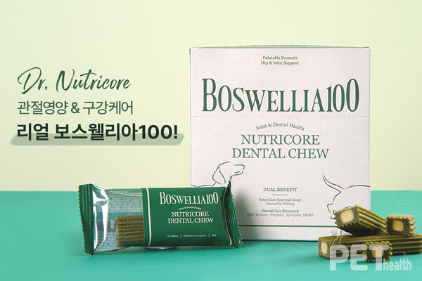 반려견 덴탈츄에 관절영양제를 결합한 ‘보스웰리아 100’. 사진 어반포즈