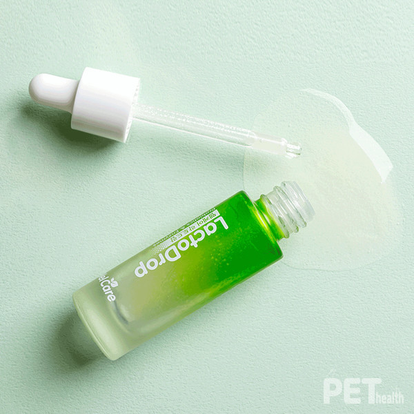 ‘웰케어 락토드랍’은 무미·무취의 액상 유산균이라 츄르나 습식사료에 뿌려서 먹이면 된다. 사진 벨벳