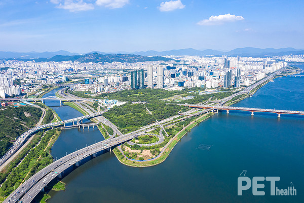 서울숲 공원. ⓒ펫헬스