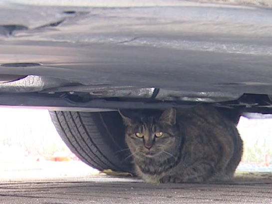 사진은 기사와 관련없음.