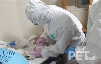 동물 검체 채취 모습. 사진 서울시