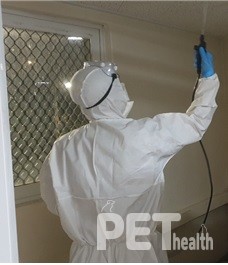 현장 방역 소독 모습. 사진 서울시