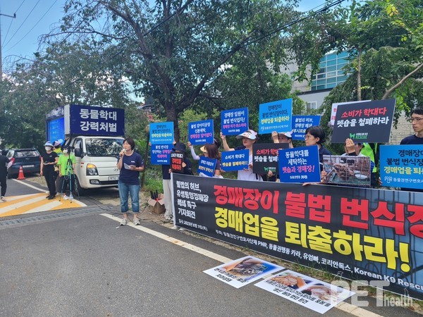 사진 동물권행동카라