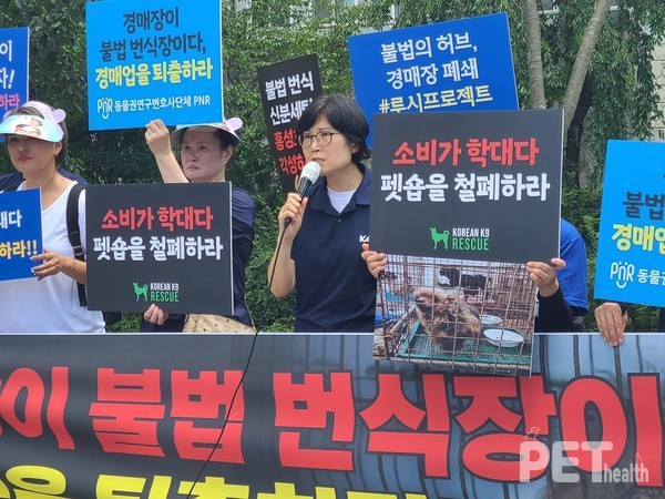 사진 동물권행동카라