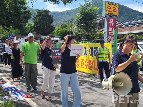 사진 동물권행동카라