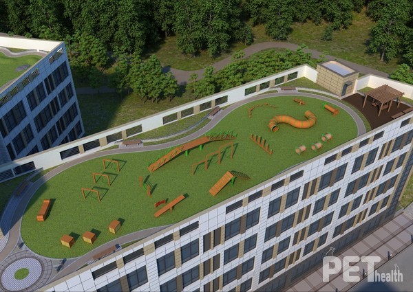 반려동물 동반 오피스텔 ‘스토리움 whit KCMC’ 조감도. 사진 KCMC문화원