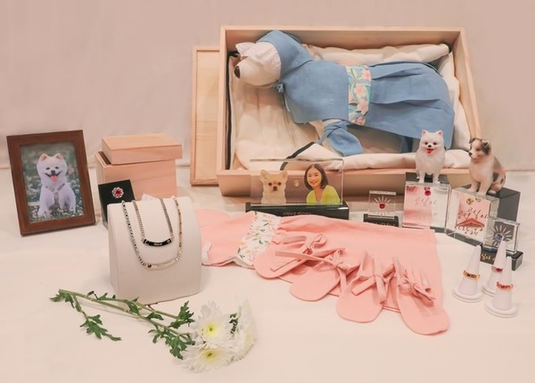 스카이펫 예시 이미지. 자료 보람상조