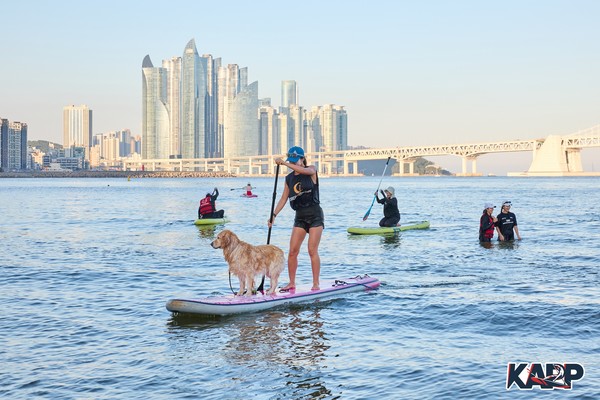 [사진=펫츠고트래블 제공]