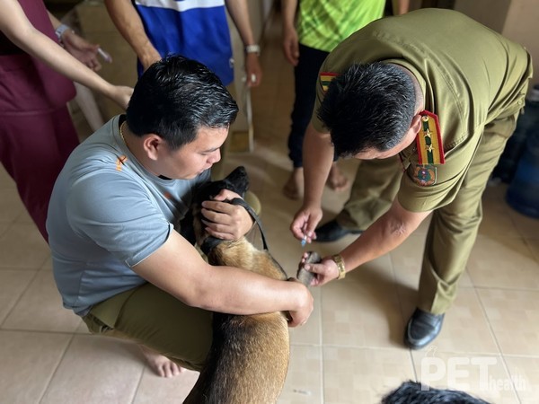 사진 국경없는수의사회
