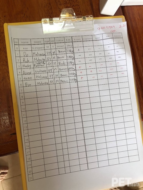 사진 국경없는수의사회