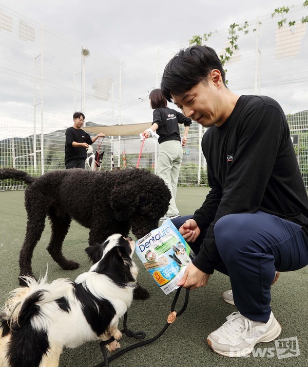 사진 네슬레퓨리나