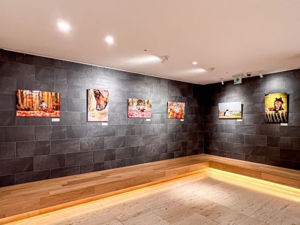 사진 소노인터내셔널