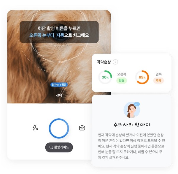 ‘착!한펫’의 구현 화면. 사진 삼성화재