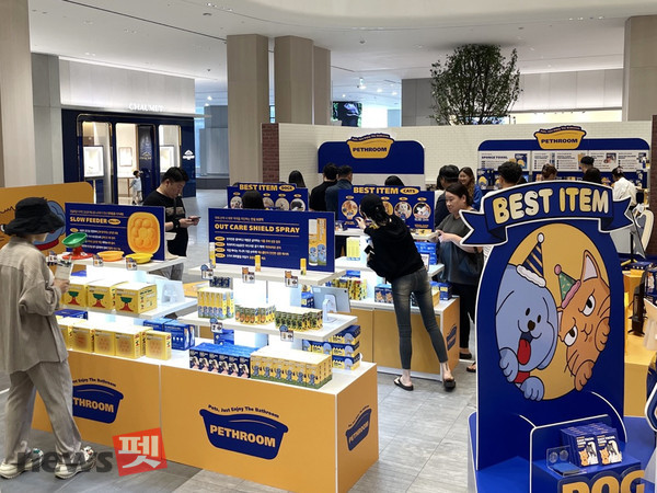 사진 비엠스마일